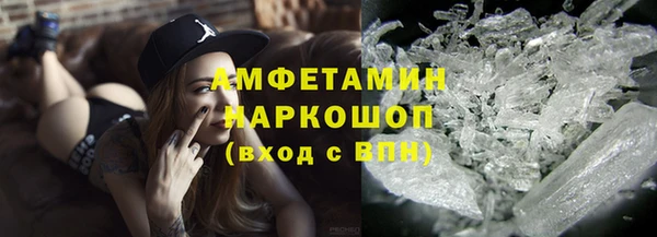 дмт Богданович