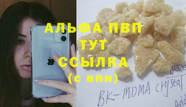 крисы Богородицк