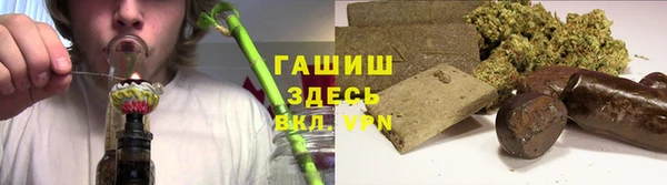 дмт Богданович
