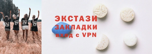 крисы Богородицк