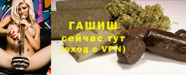 дмт Богданович