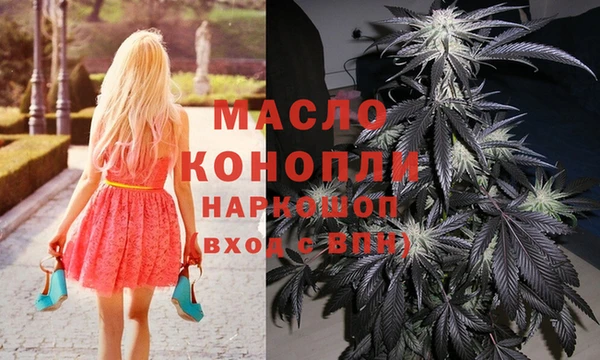 дмт Богданович