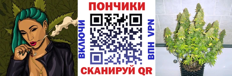 Купить где Мыски Каннабис OG Kush